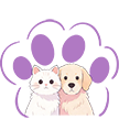 球球小宠 logo
